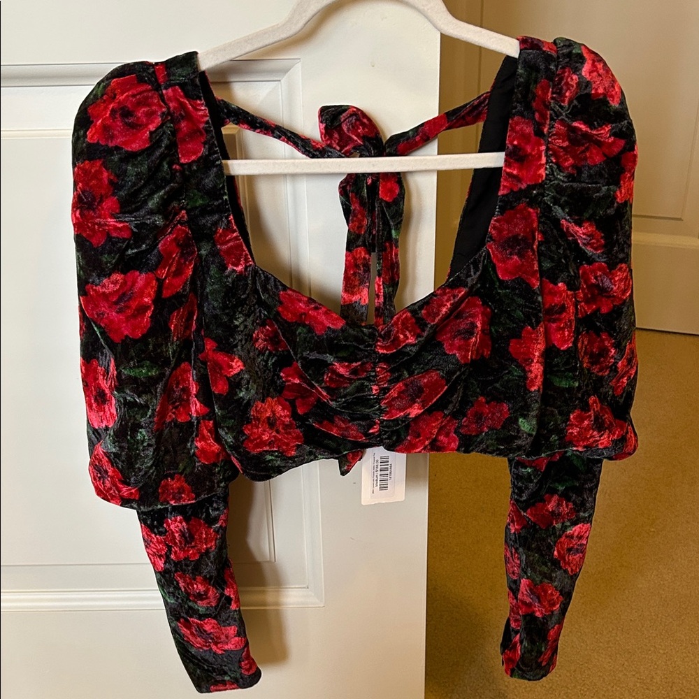 Lovers + Friends Red and Black Floral Velvet Blouse